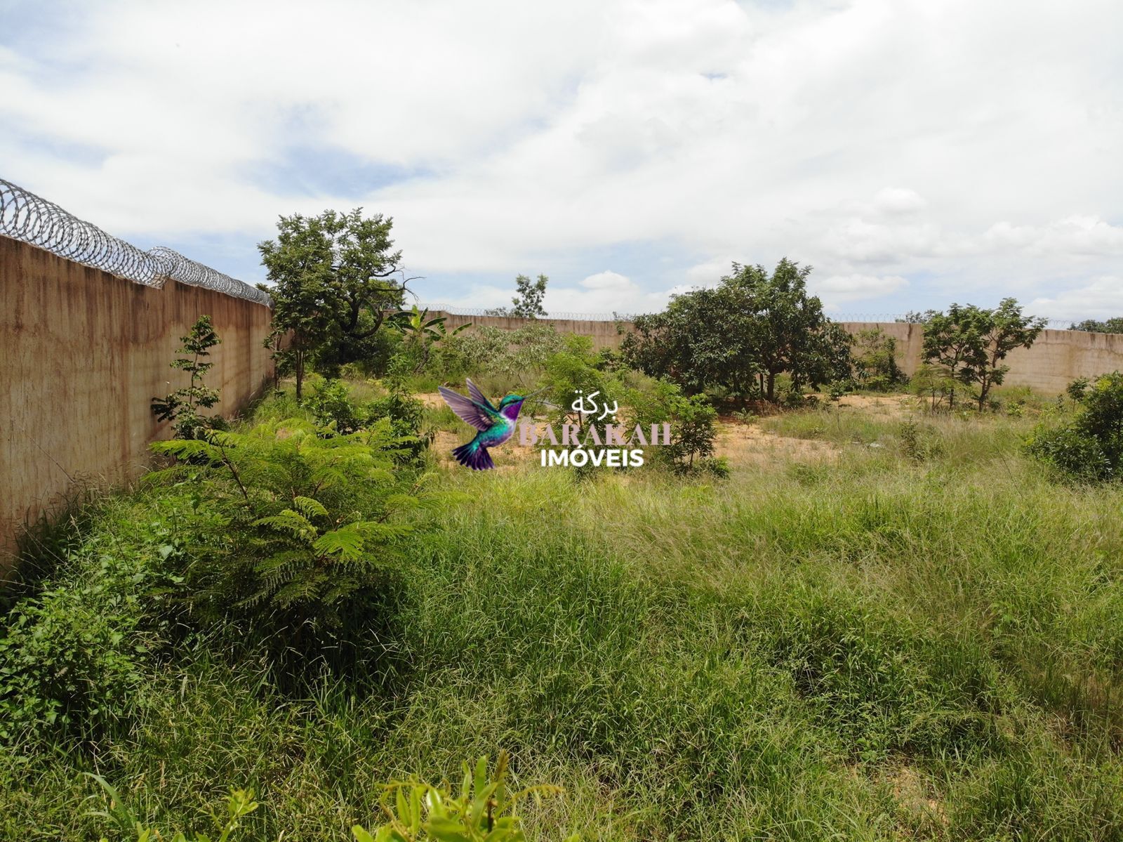 Terreno, 11 hectares - Foto 8