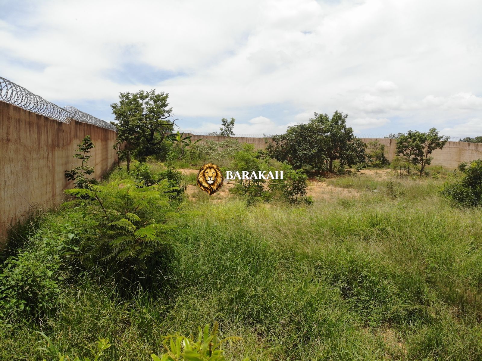 Terreno, 11 hectares - Foto 8