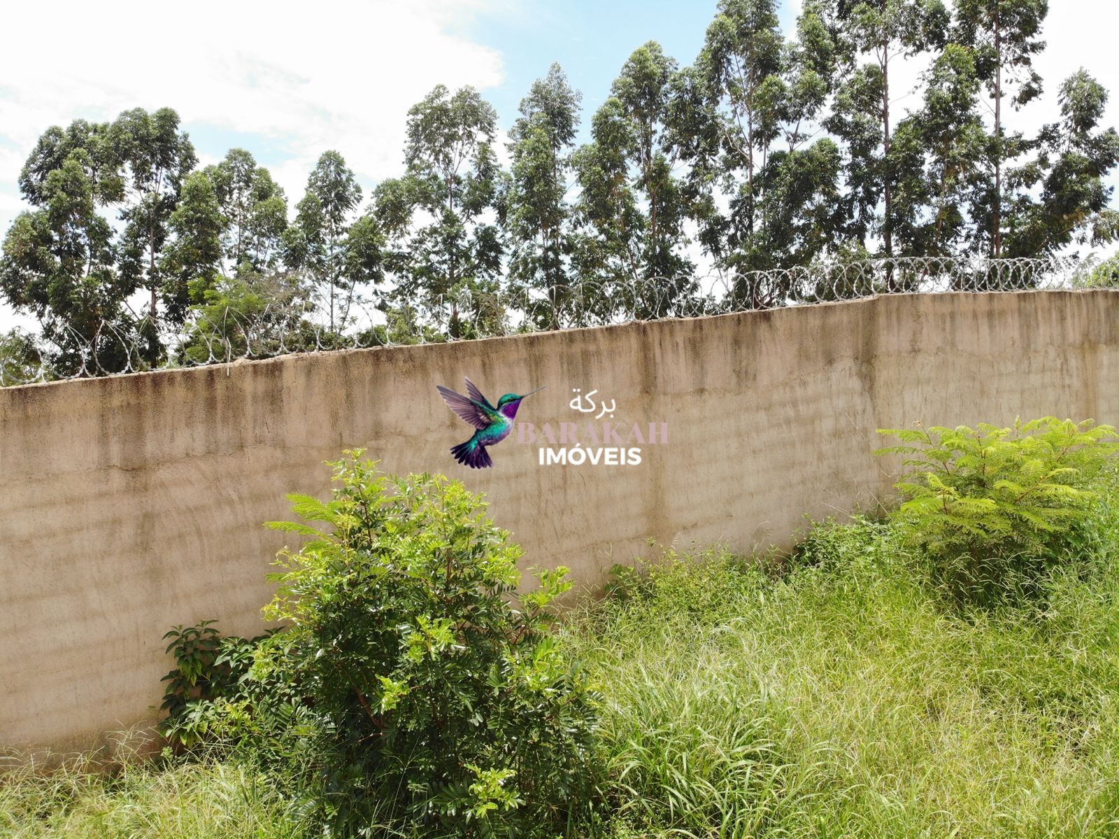 Terreno, 11 hectares - Foto 6