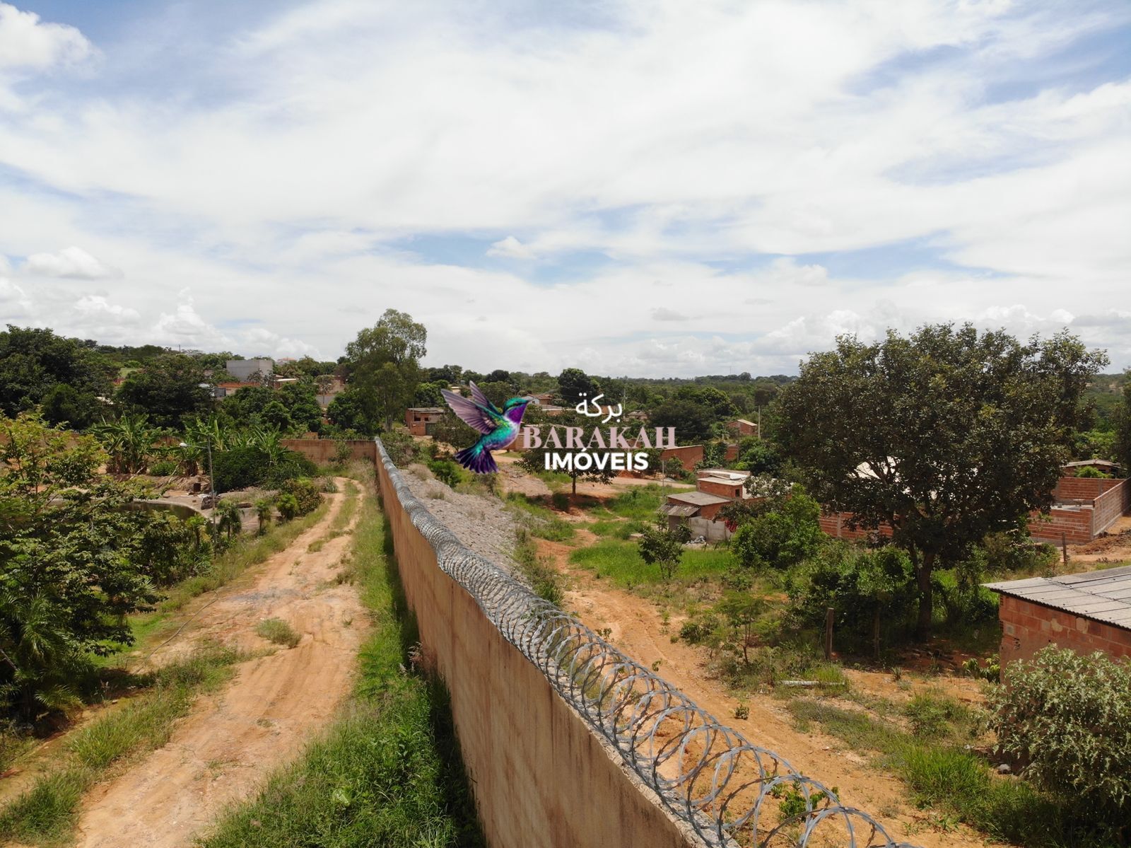 Terreno, 11 hectares - Foto 7