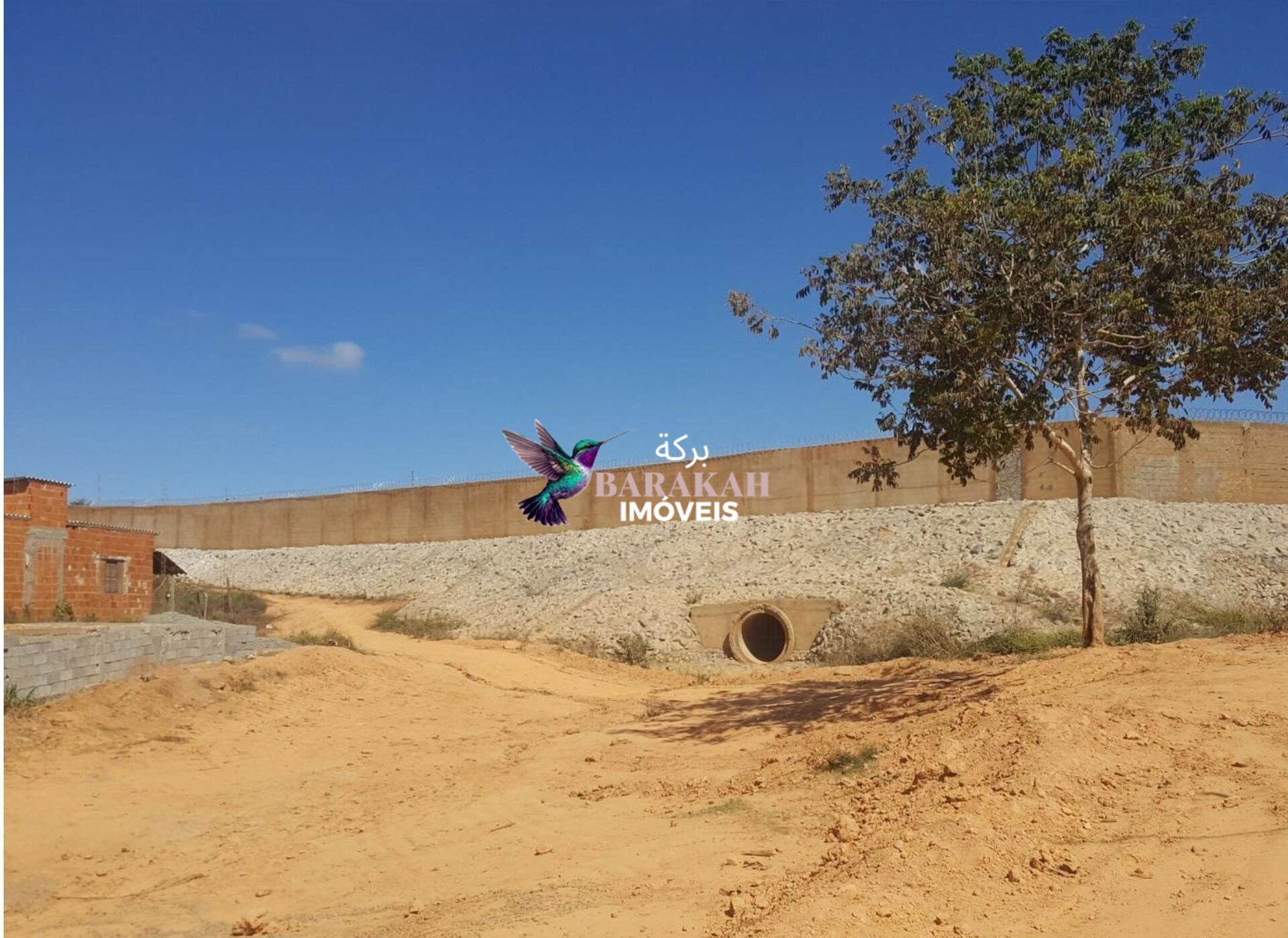 Terreno, 11 hectares - Foto 5