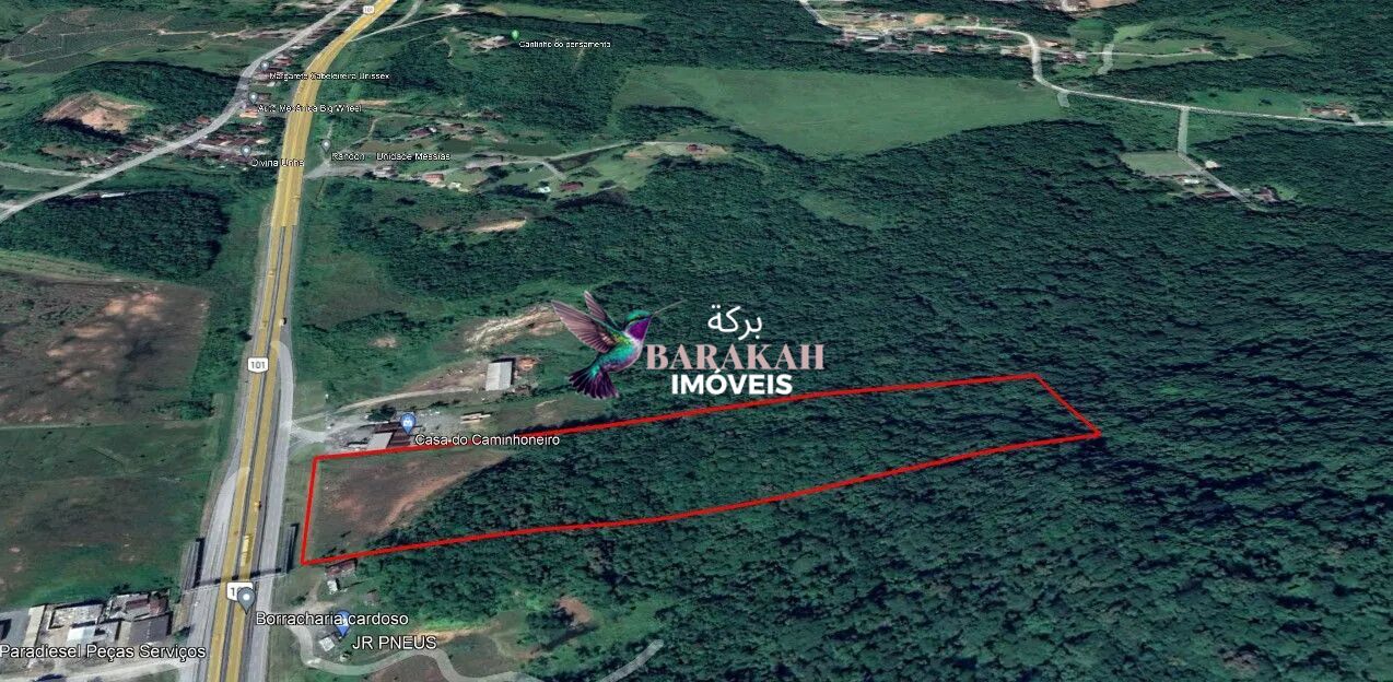 Terreno, 5 hectares - Foto 3