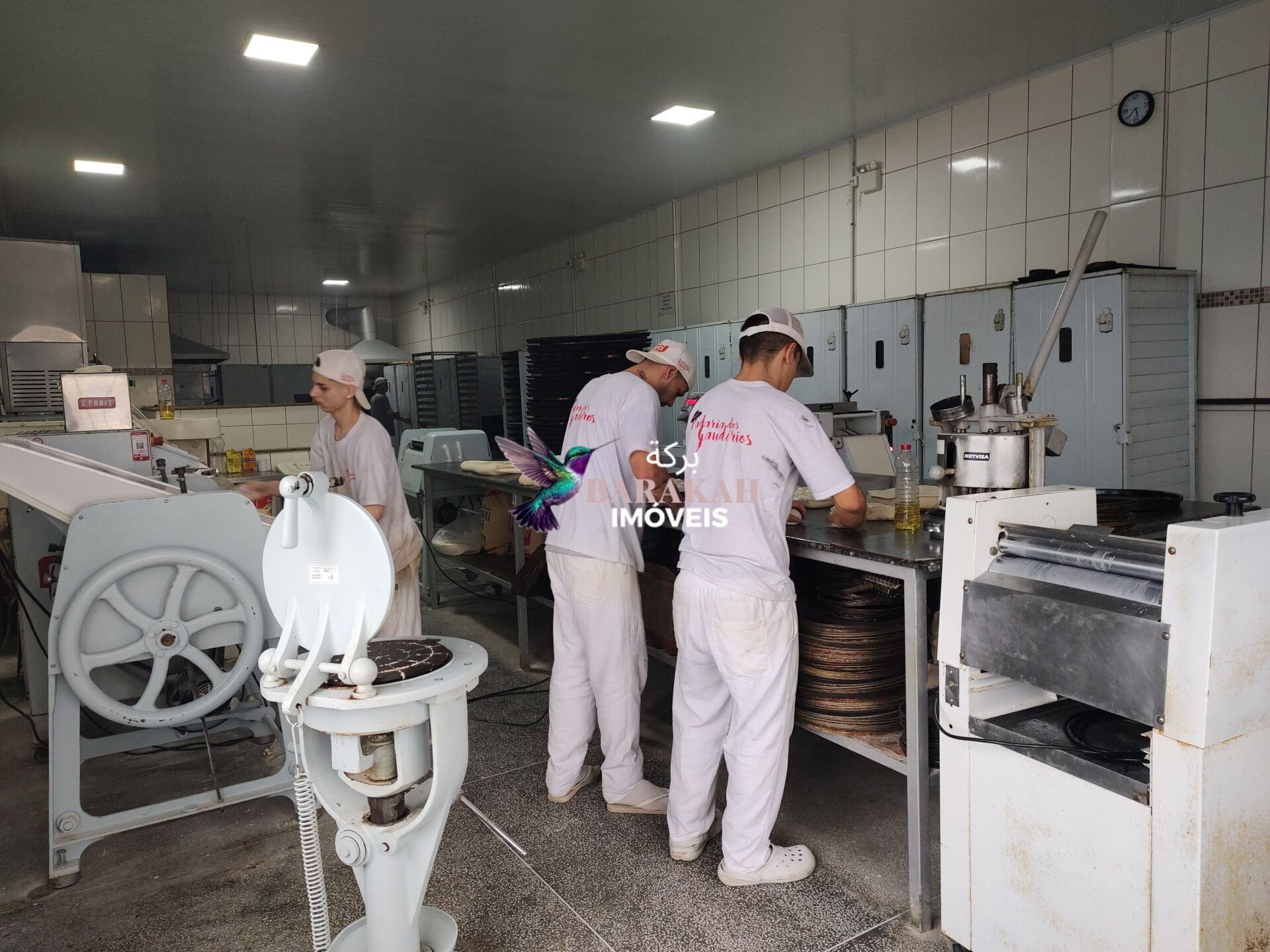 Prédio Inteiro, 520 m² - Foto 33