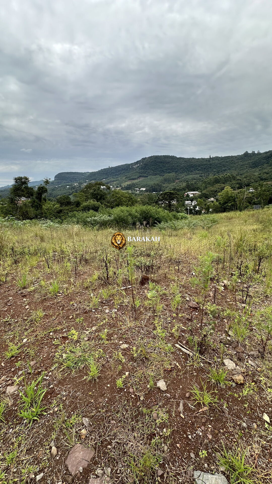 Terreno, 515 m² - Foto 9