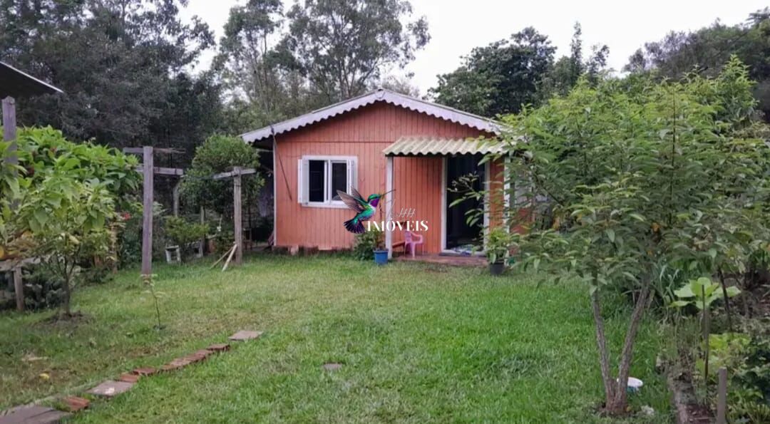 Fazenda à venda com 2 quartos, 720m² - Foto 11