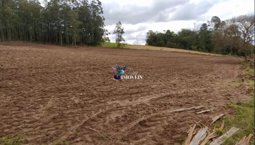 Terreno à venda, 400000m² - Foto 4