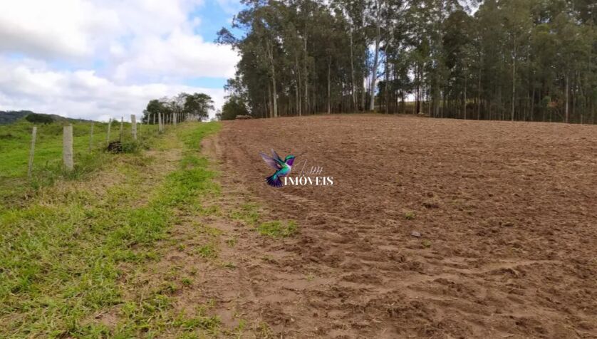 Terreno à venda, 400000m² - Foto 2