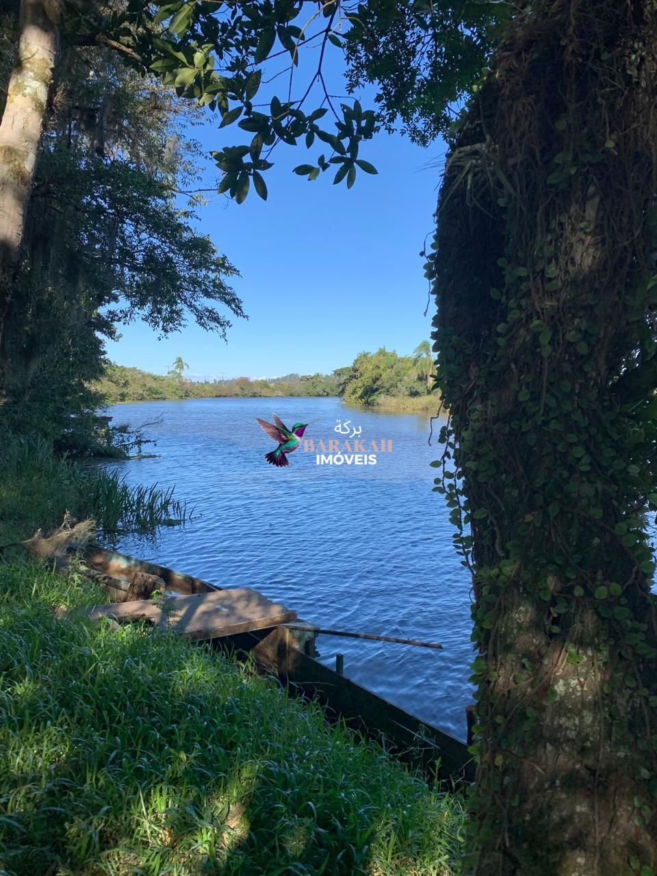 Sítio, 7524 m² - Foto 19