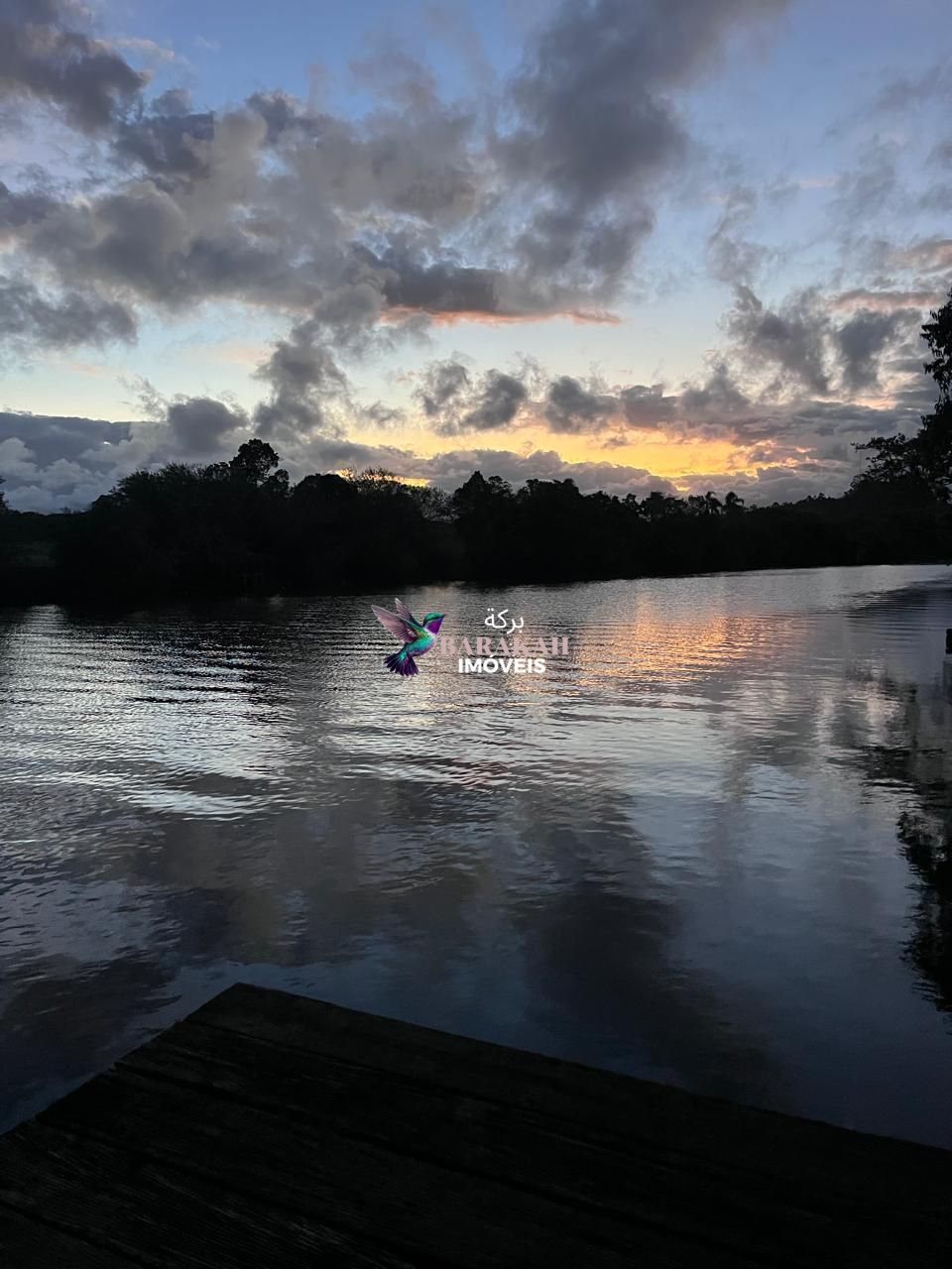 Sítio, 7524 m² - Foto 31