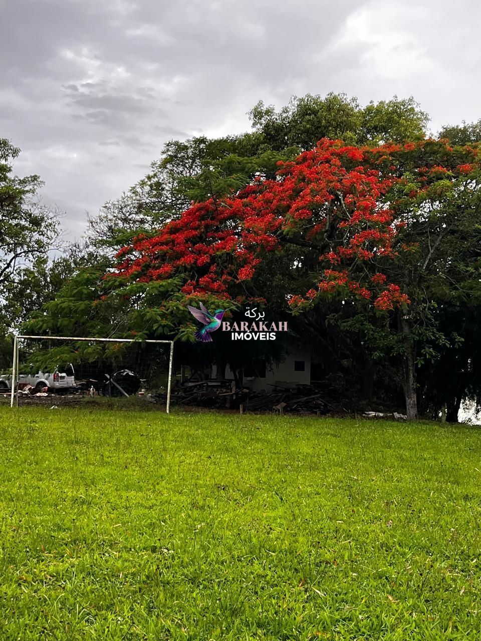 Sítio, 7524 m² - Foto 22