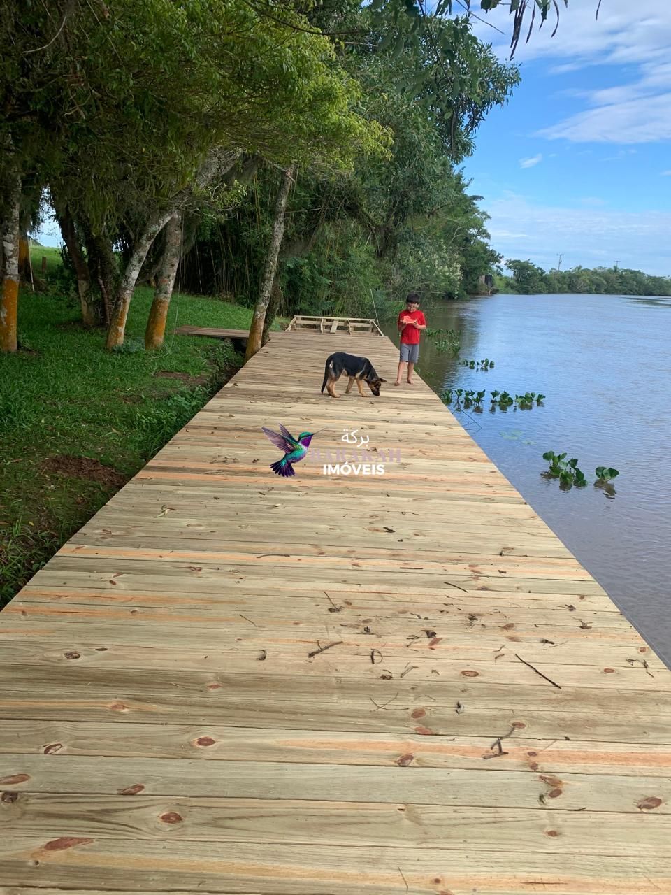 Sítio, 7524 m² - Foto 33