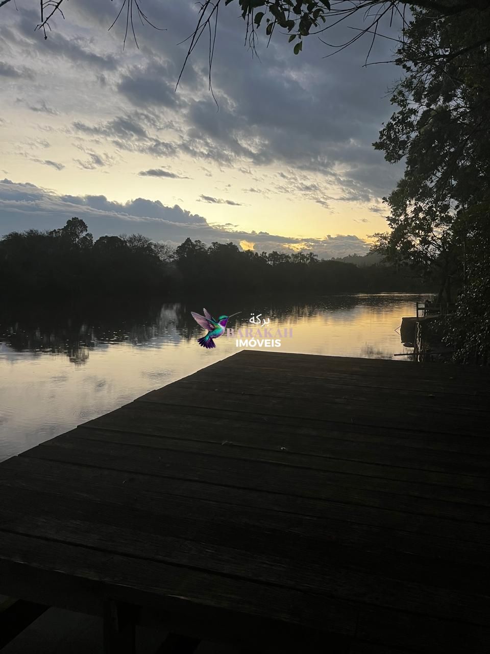 Sítio, 7524 m² - Foto 29