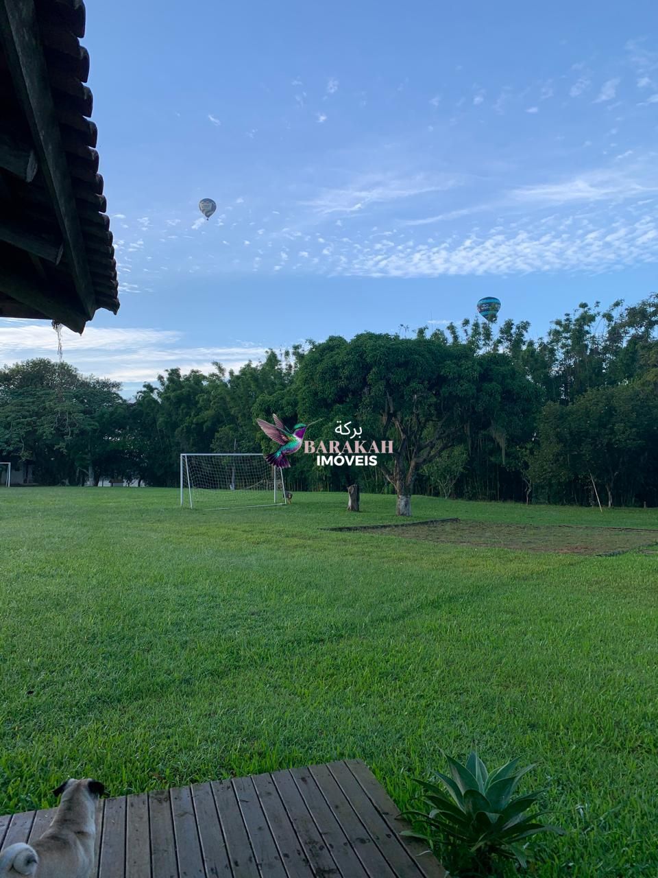 Sítio, 7524 m² - Foto 21