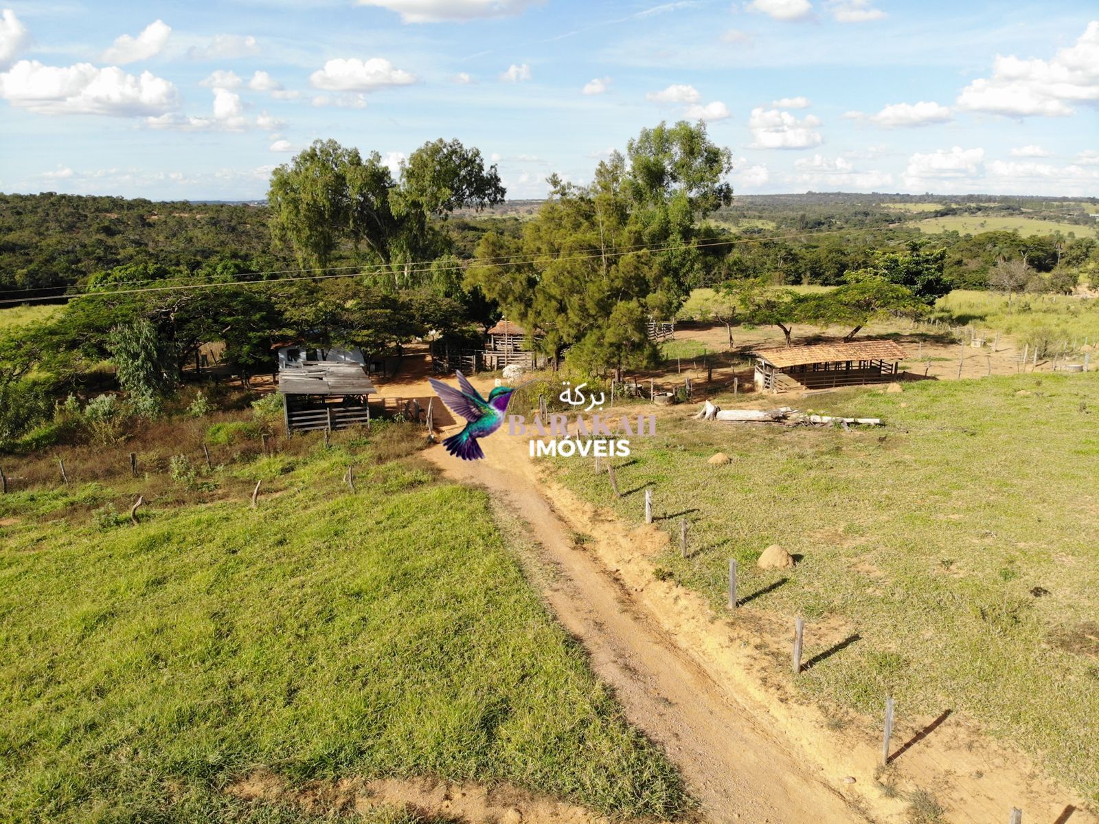 Terreno, 31 hectares - Foto 3