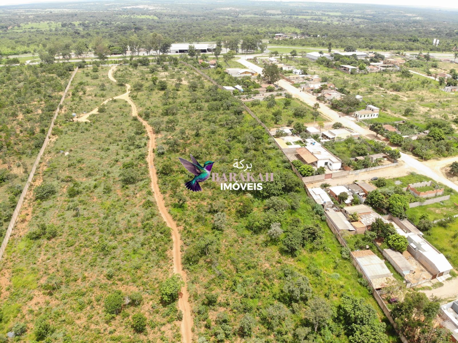 Terreno, 31 hectares - Foto 2