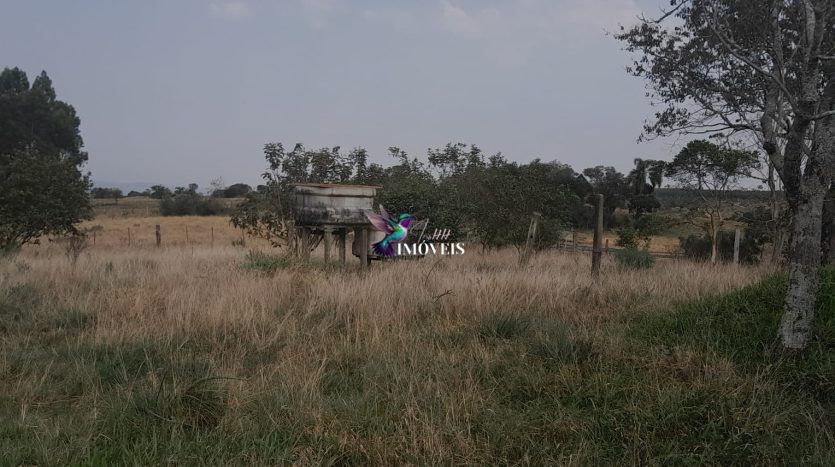 Fazenda à venda, 1100000m² - Foto 2