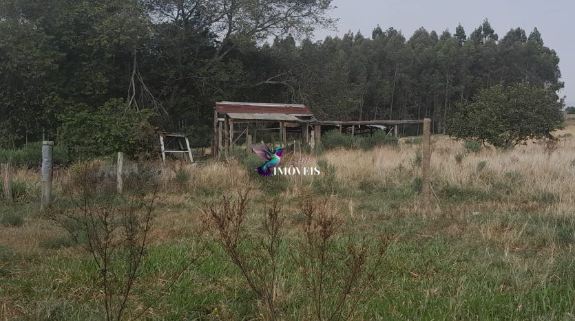 Fazenda à venda, 1100000m² - Foto 4