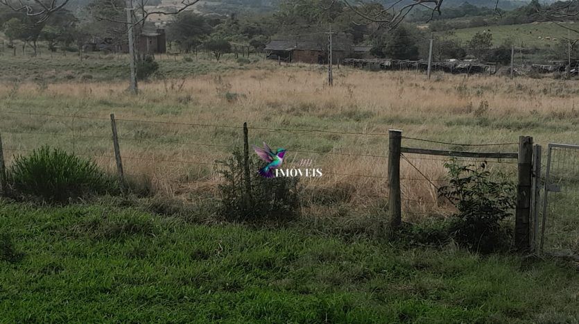 Fazenda à venda, 1100000m² - Foto 3