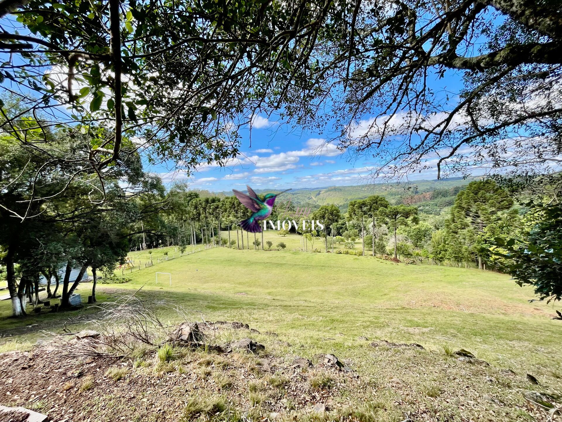 Chácara à venda, 20000m² - Foto 17