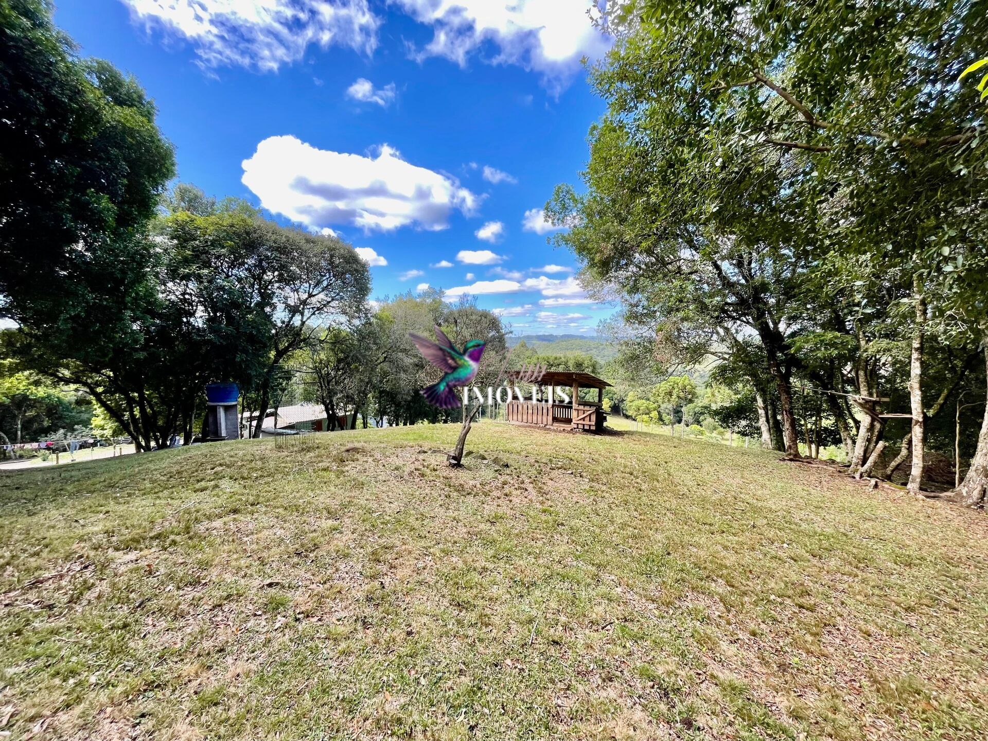 Chácara à venda, 20000m² - Foto 22