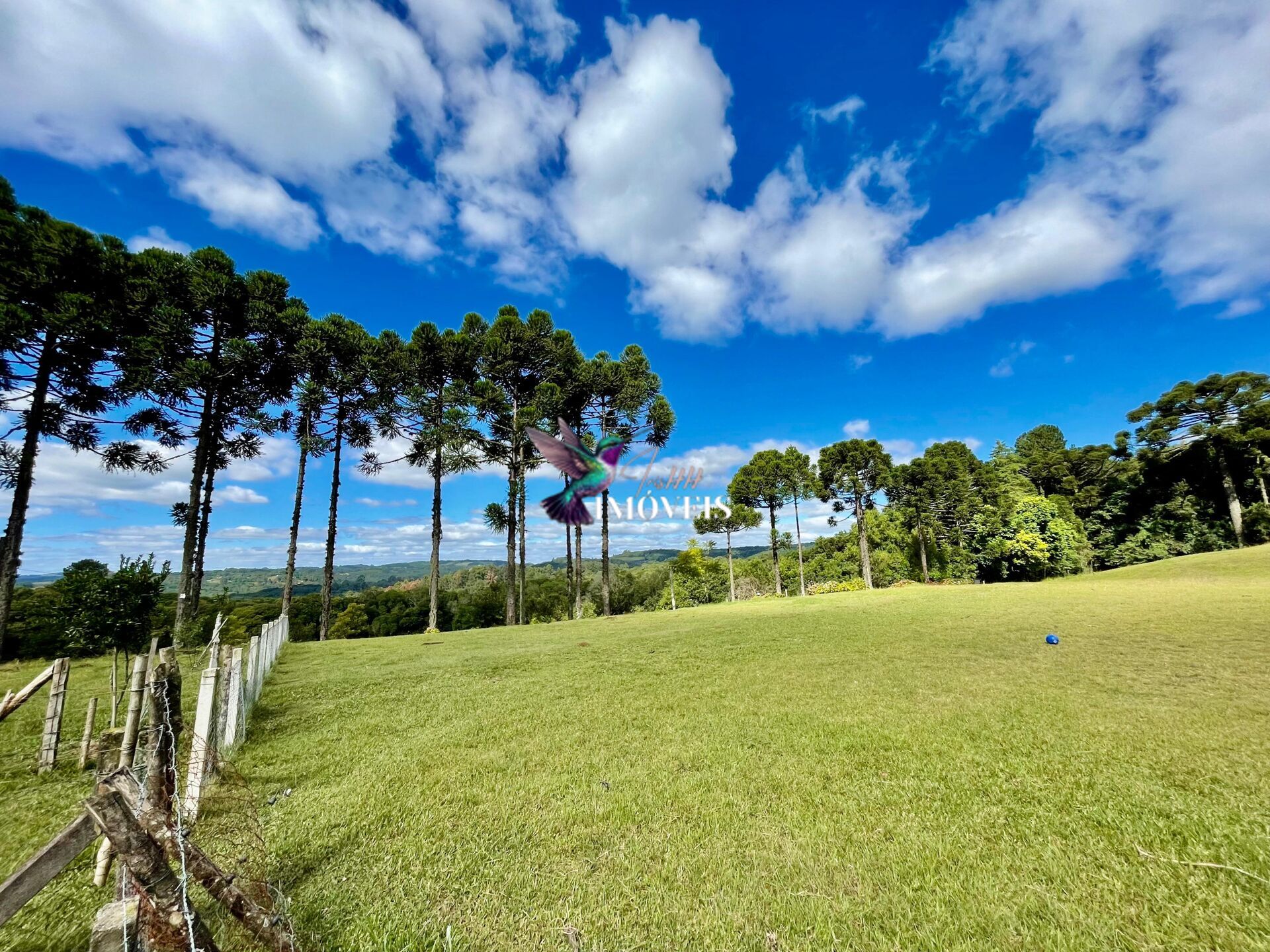 Chácara à venda, 20000m² - Foto 15
