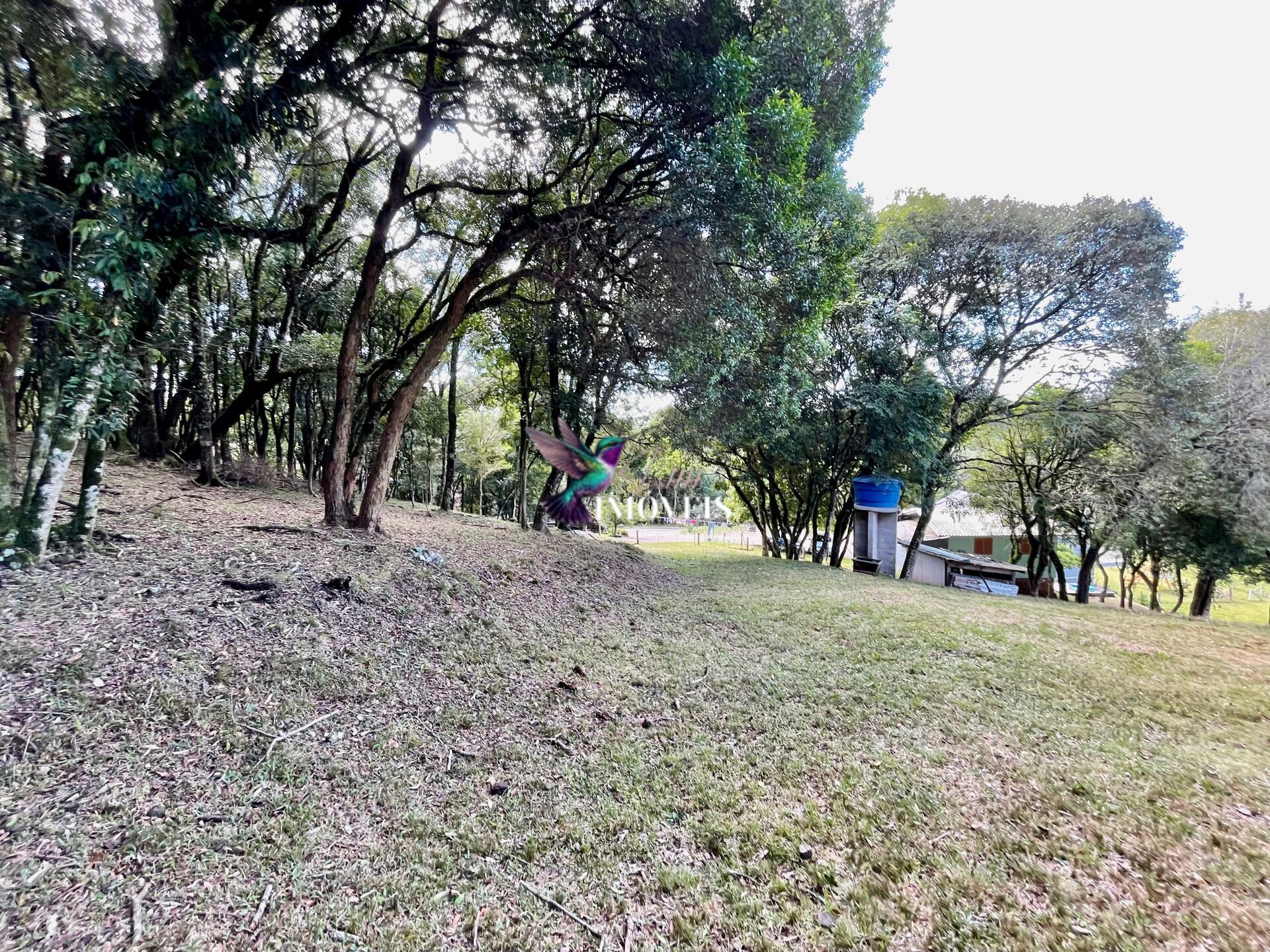Chácara à venda, 20000m² - Foto 19