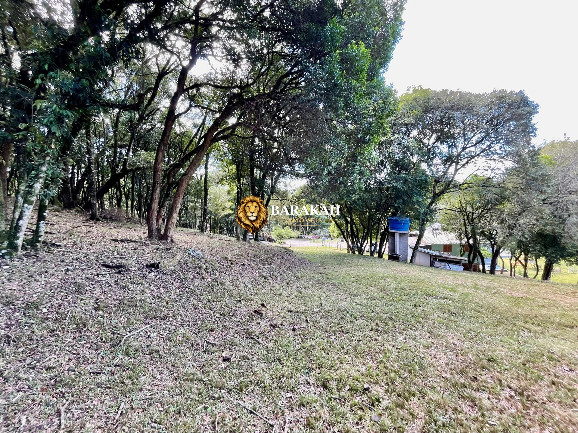 Chácara, 2 hectares - Foto 19