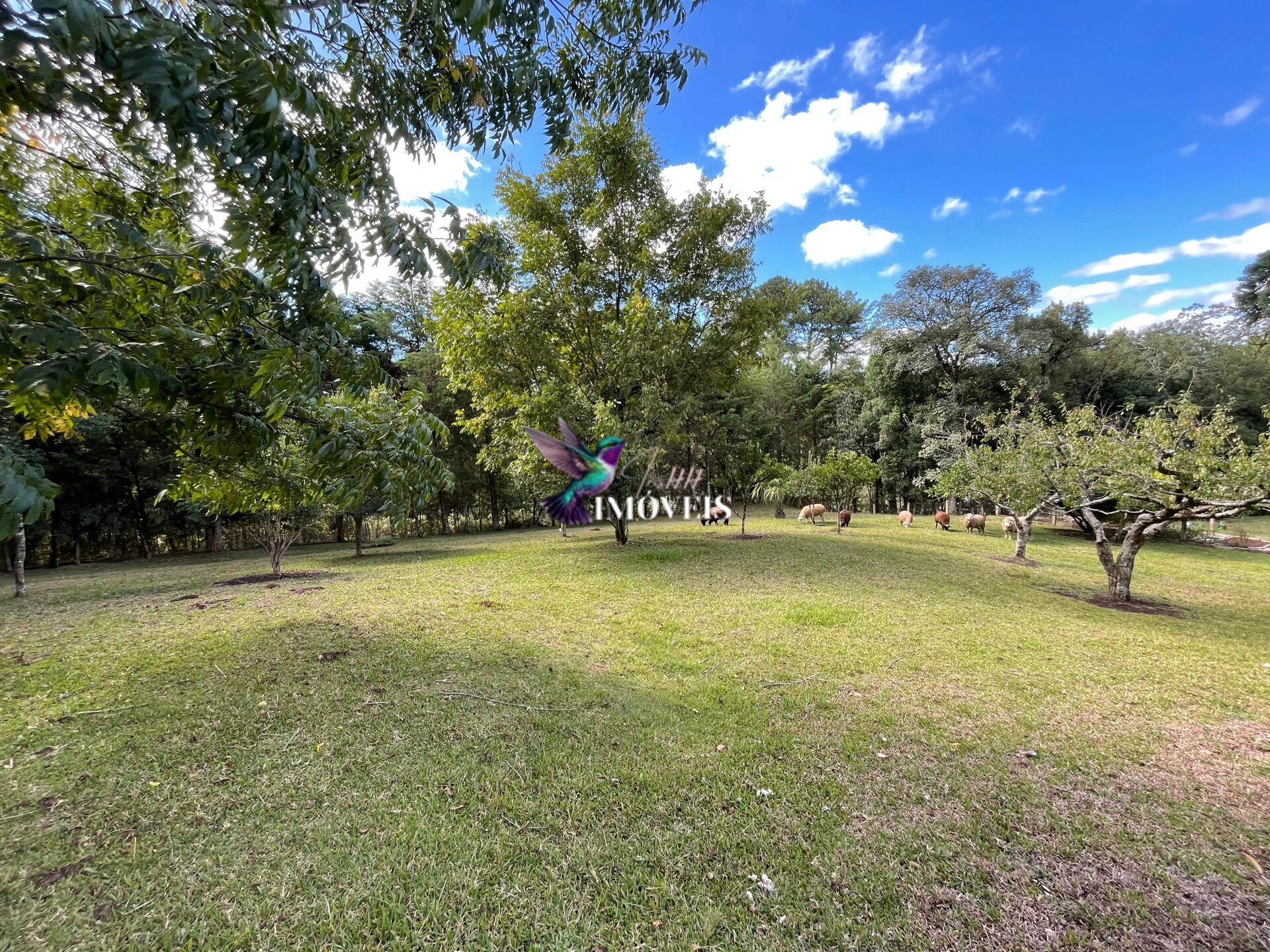 Chácara à venda, 20000m² - Foto 14