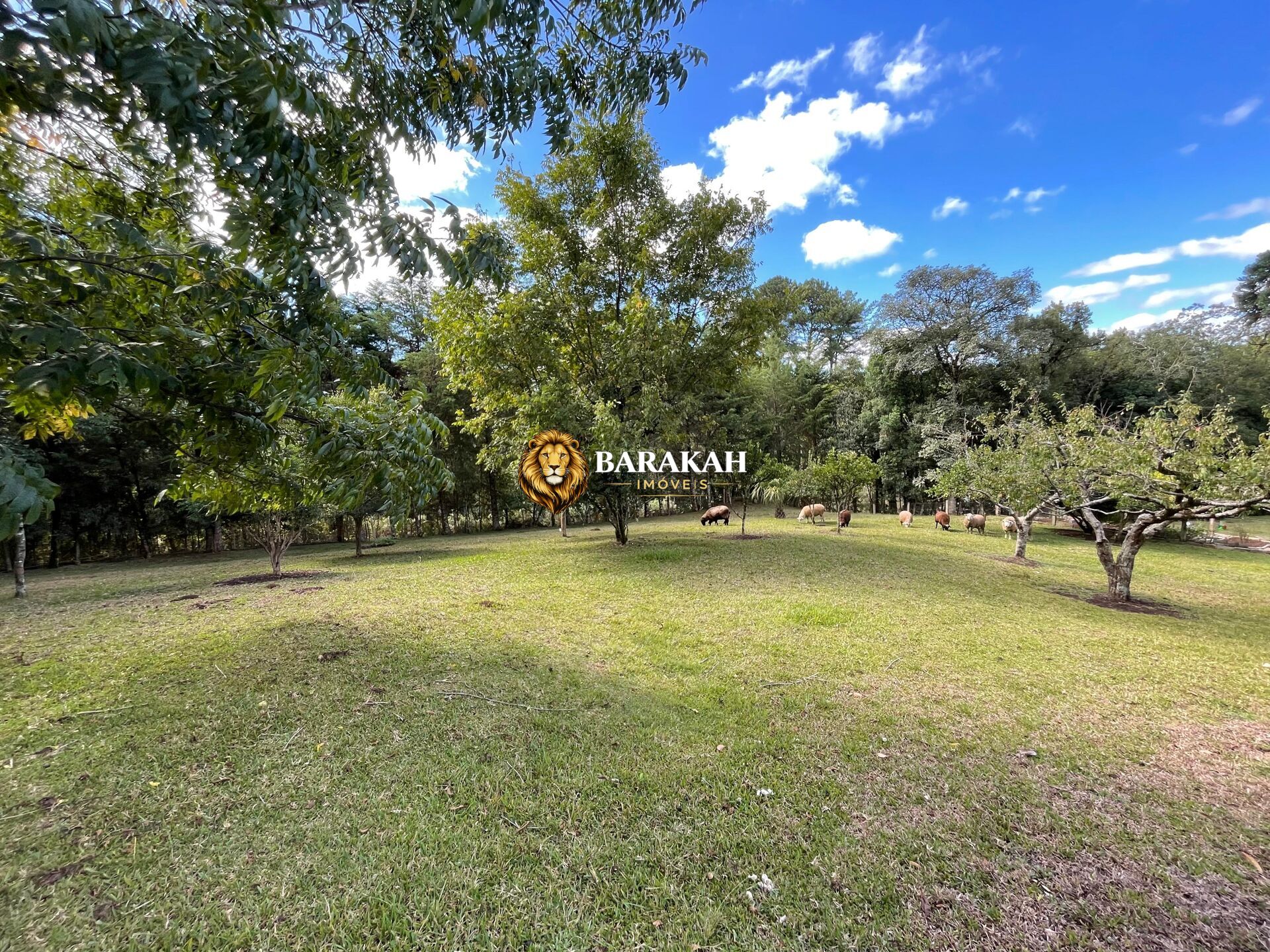 Chácara, 2 hectares - Foto 14
