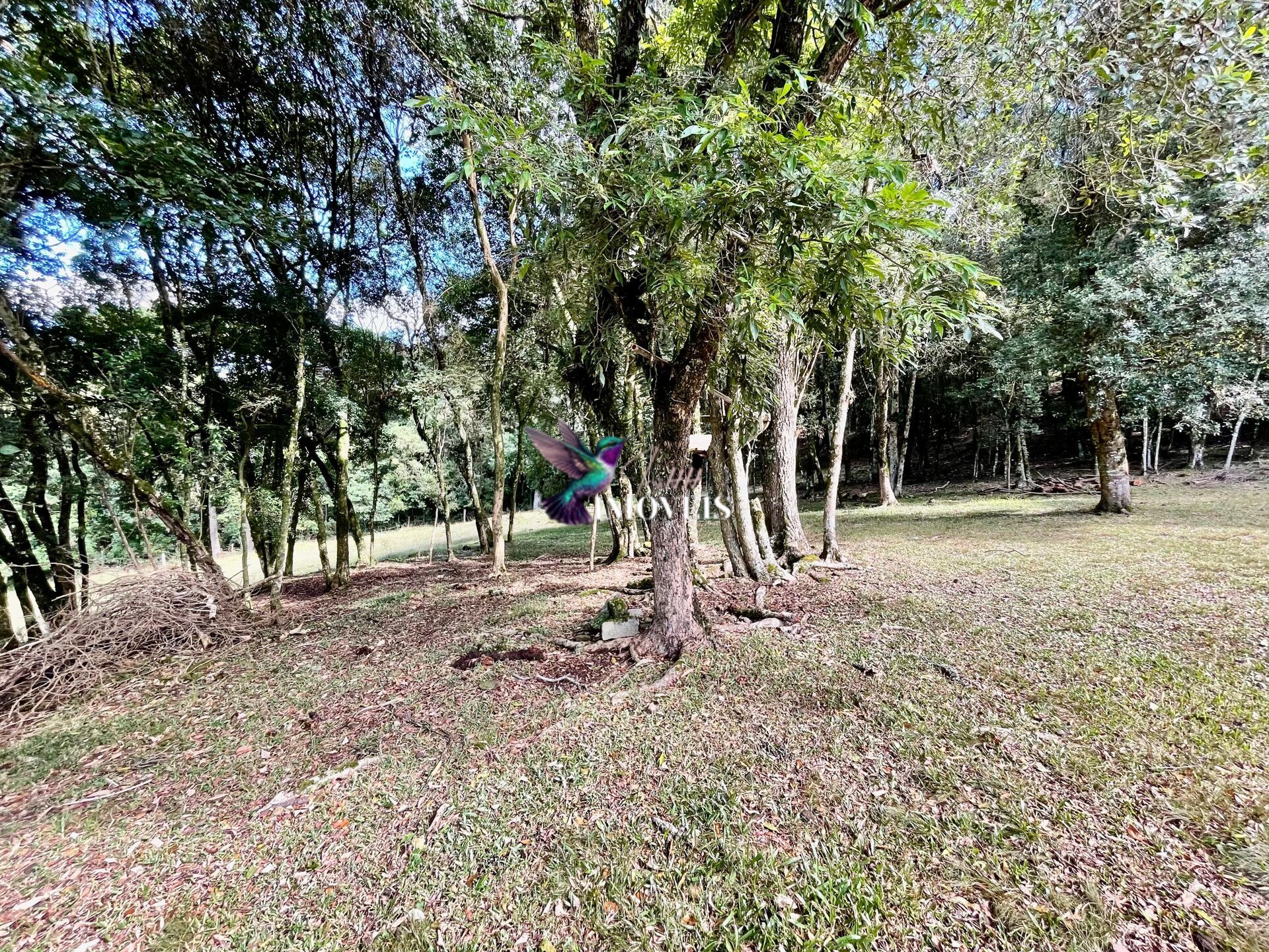 Chácara à venda, 20000m² - Foto 18