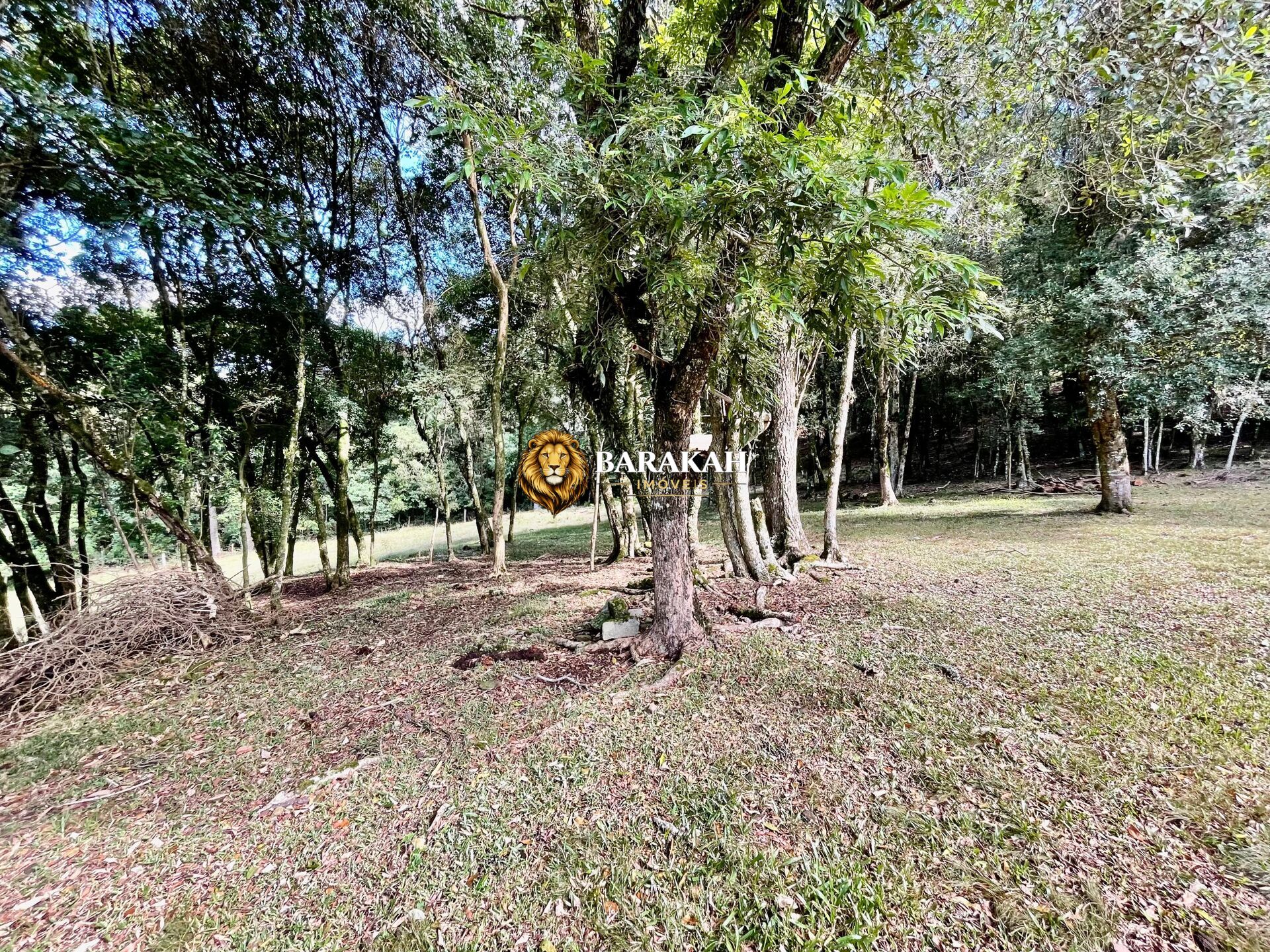 Chácara, 2 hectares - Foto 18