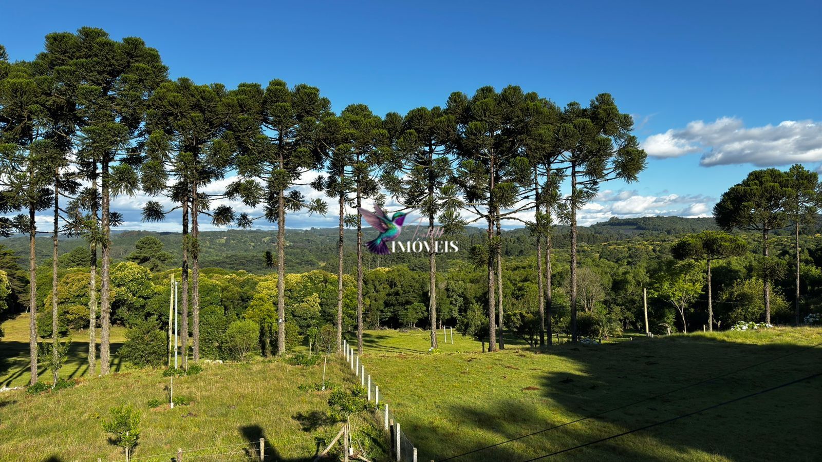 Chácara à venda, 20000m² - Foto 3