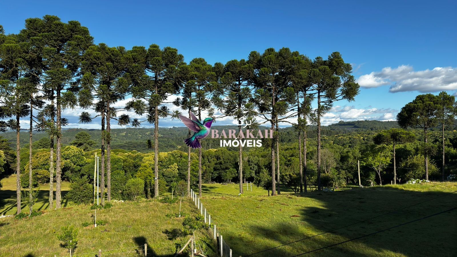 Chácara, 2 hectares - Foto 3