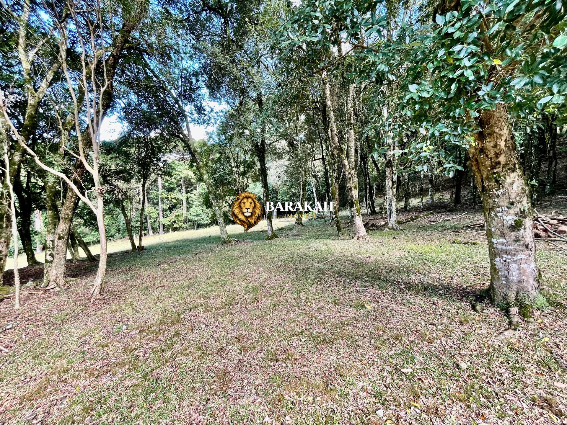 Chácara, 2 hectares - Foto 20