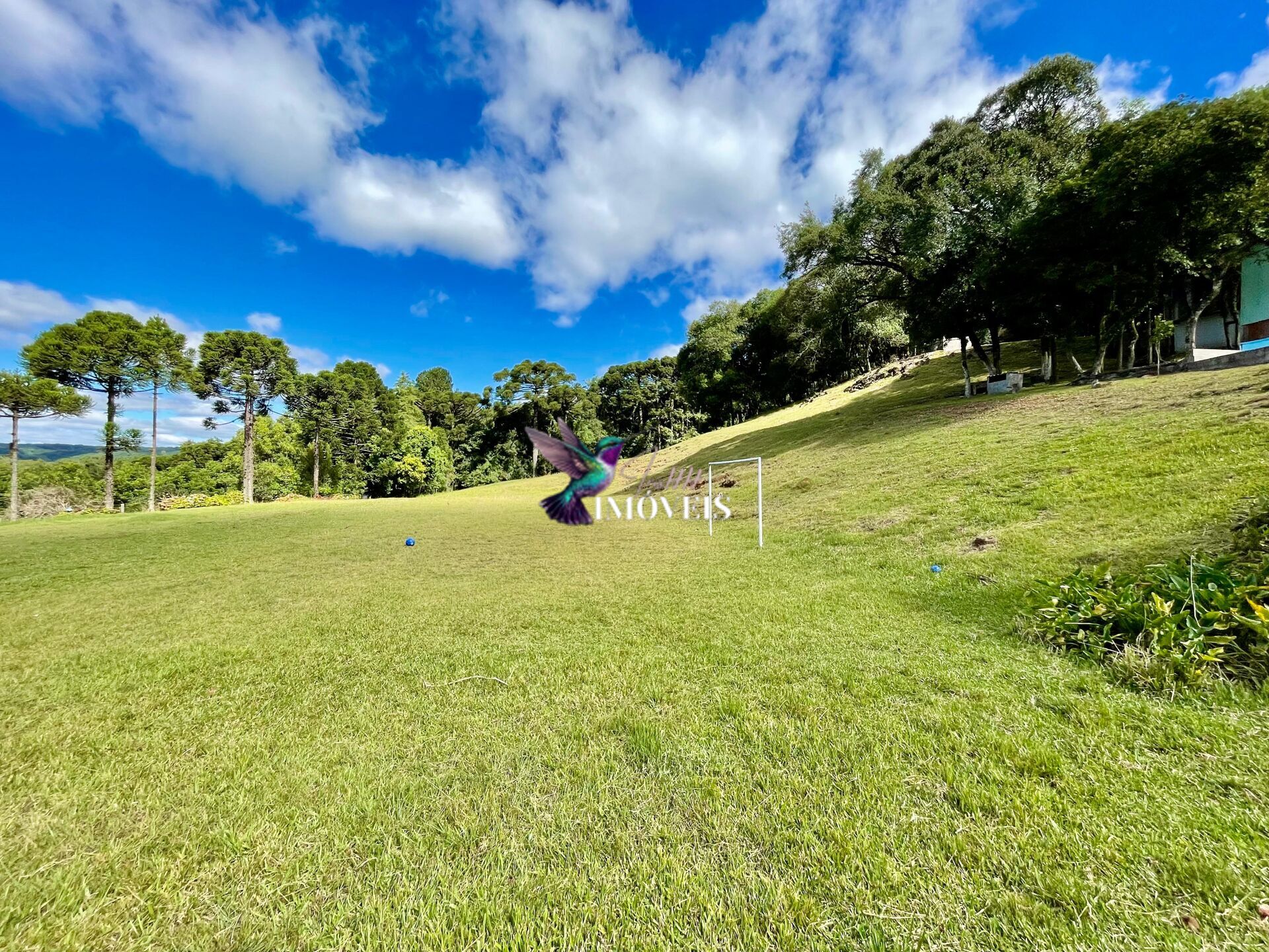 Chácara à venda, 20000m² - Foto 4