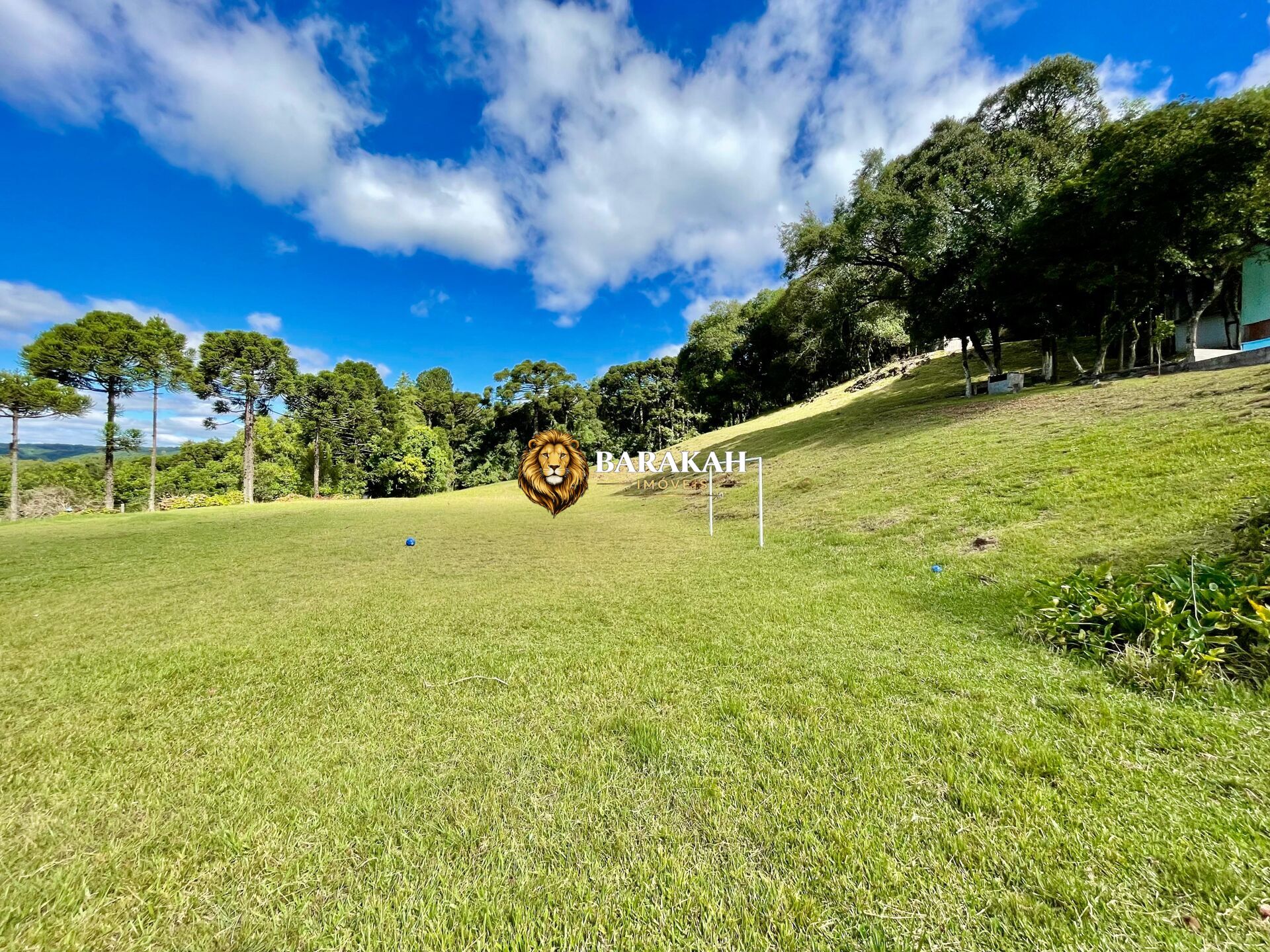 Chácara, 2 hectares - Foto 4