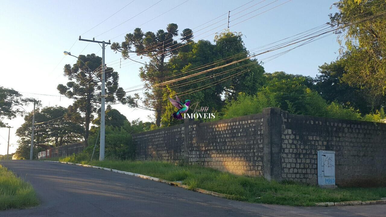 Terreno à venda, 1980m² - Foto 3