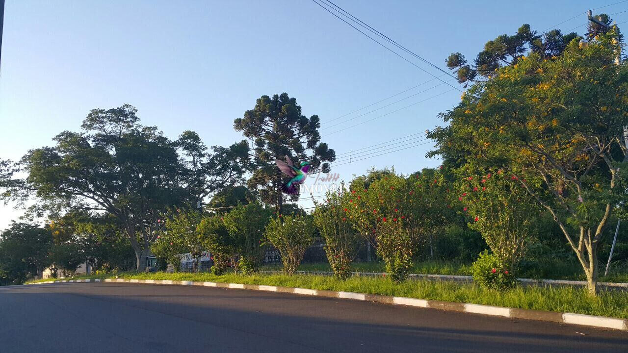 Terreno à venda, 1980m² - Foto 2