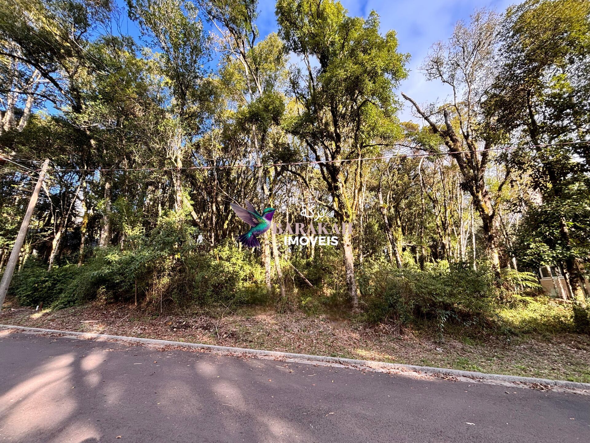 Terreno, 805 m² - Foto 5