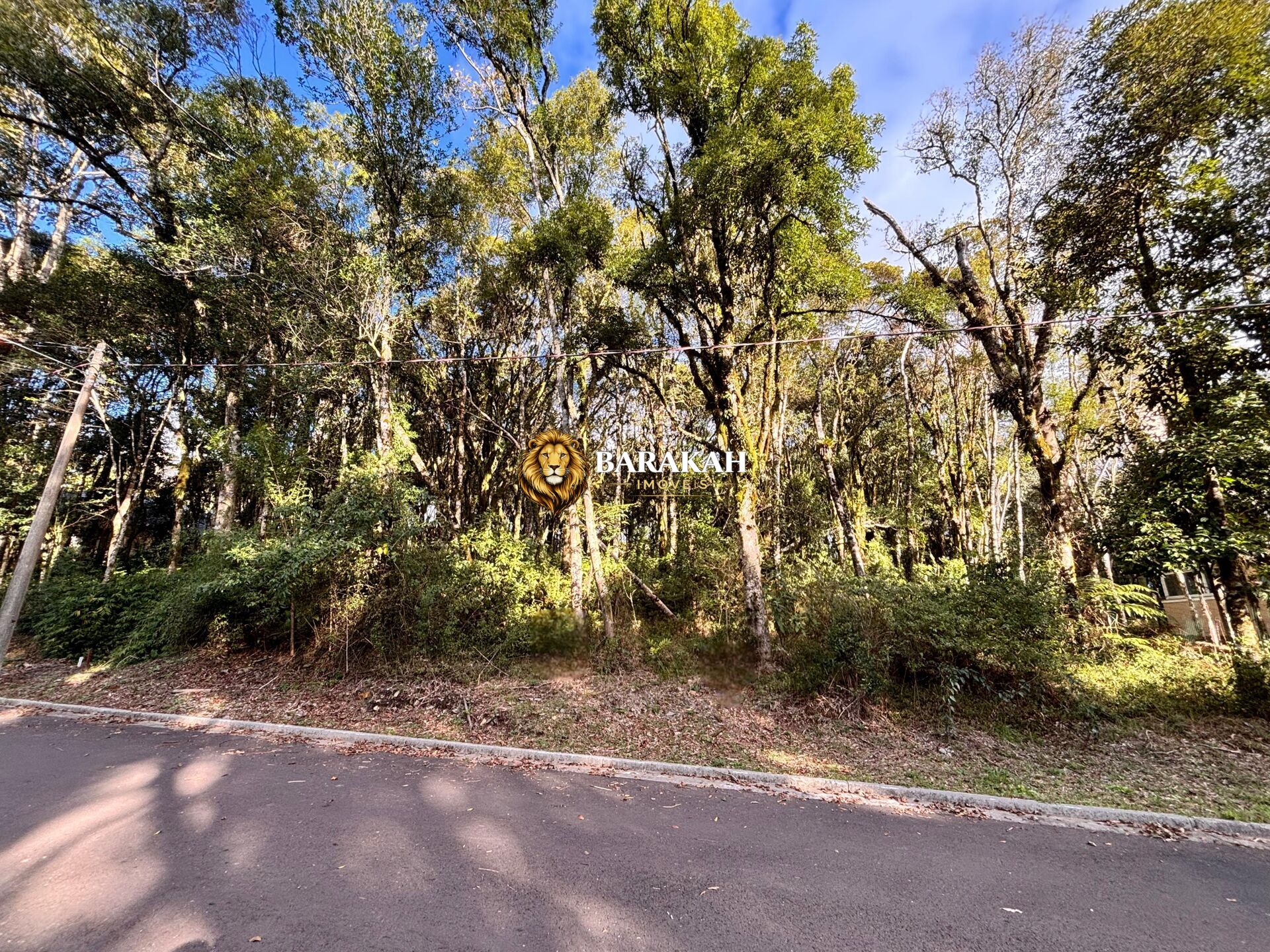Terreno, 805 m² - Foto 5