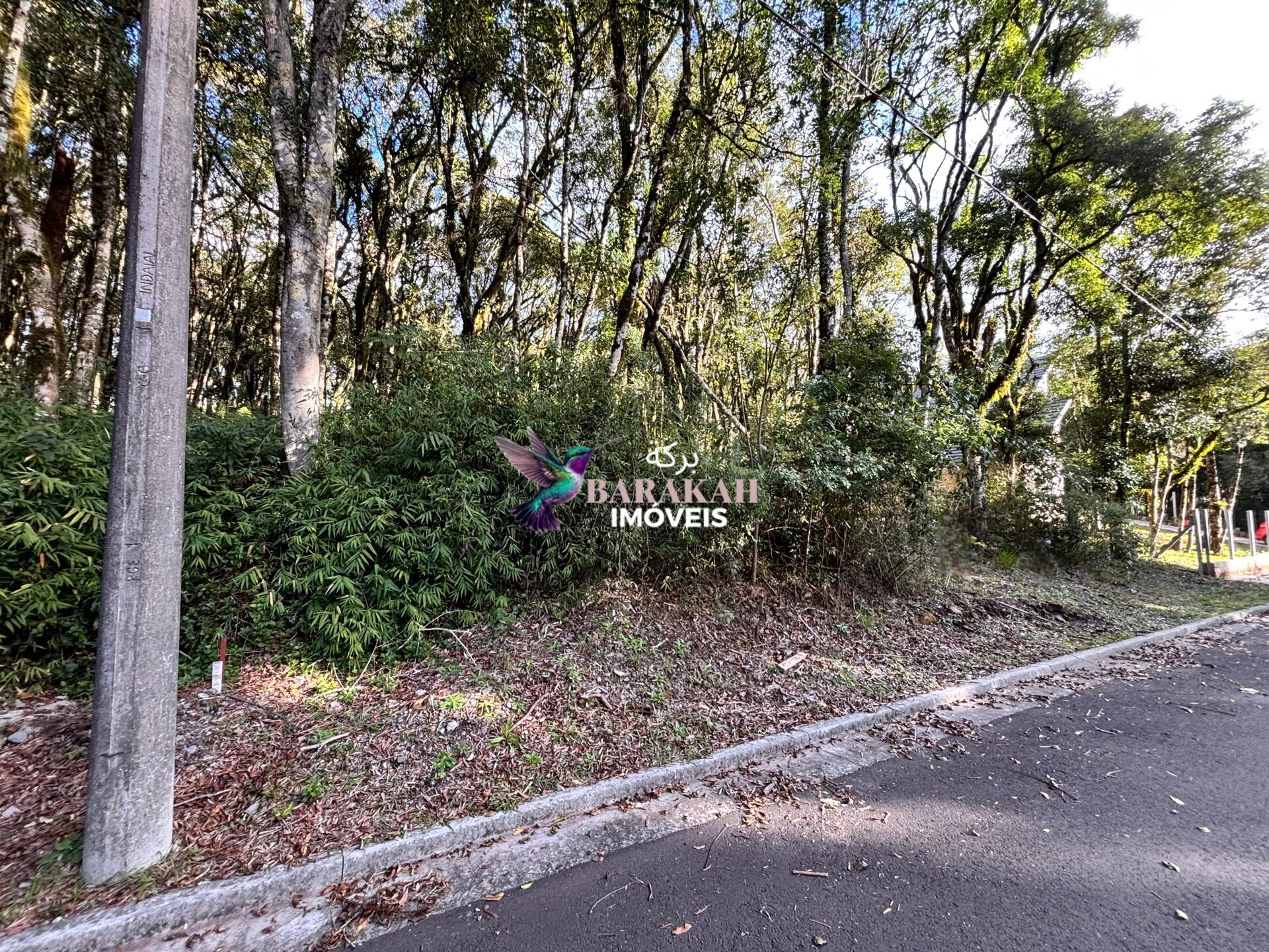 Terreno, 805 m² - Foto 2