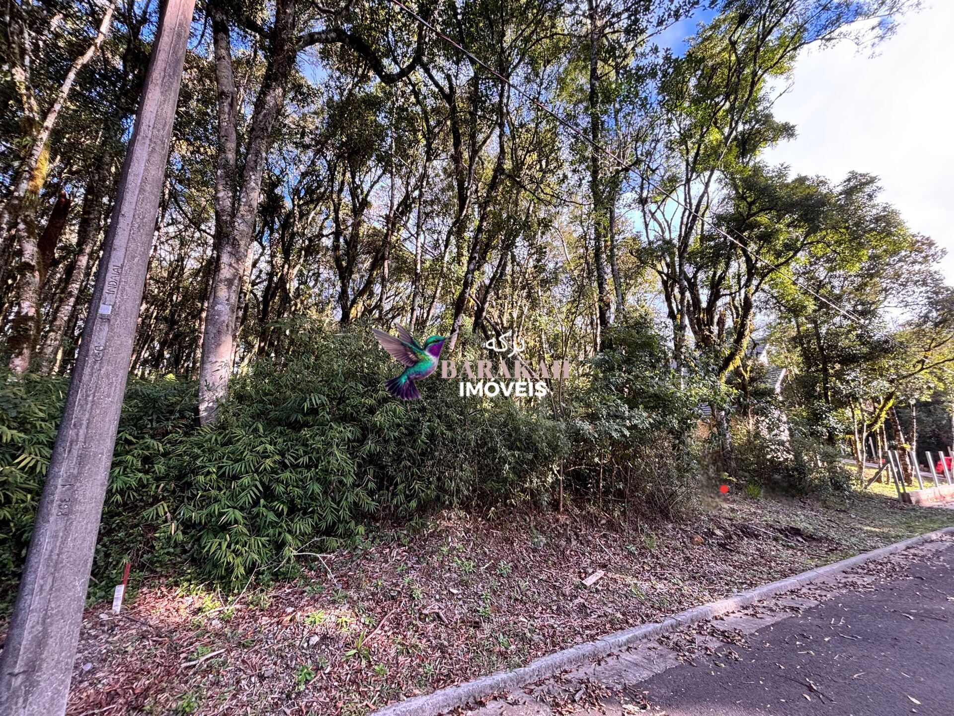 Terreno, 805 m² - Foto 4