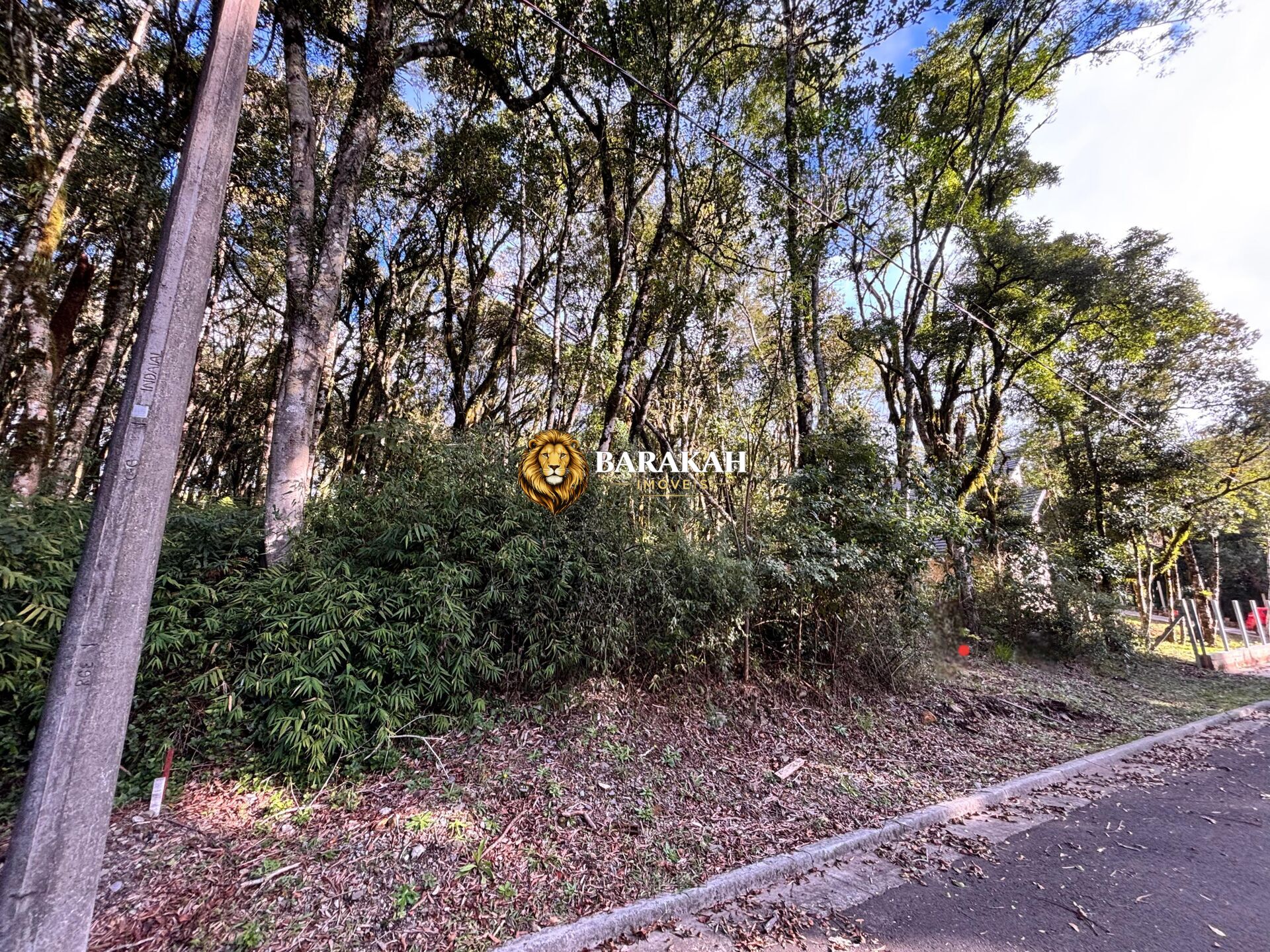 Terreno, 805 m² - Foto 4