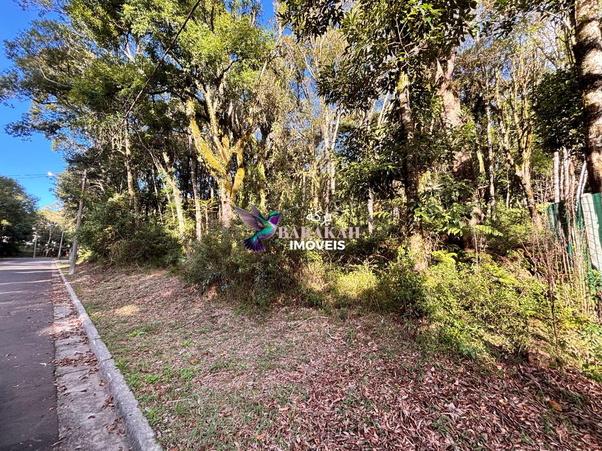 Terreno, 805 m² - Foto 3