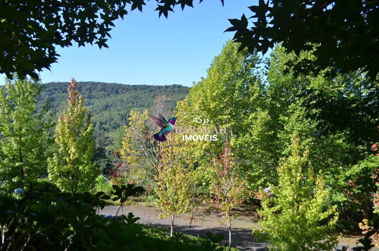 Terreno, 9 hectares - Foto 4