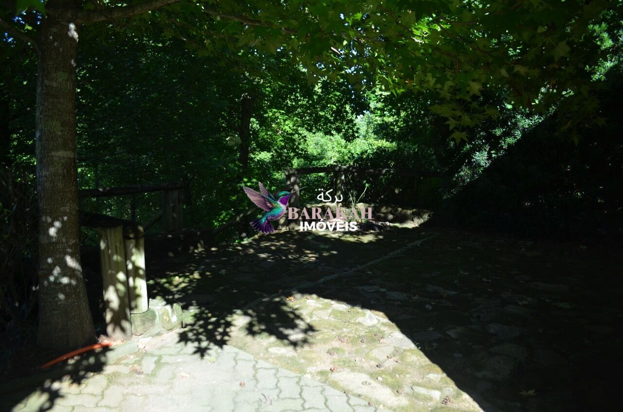 Terreno, 9 hectares - Foto 3