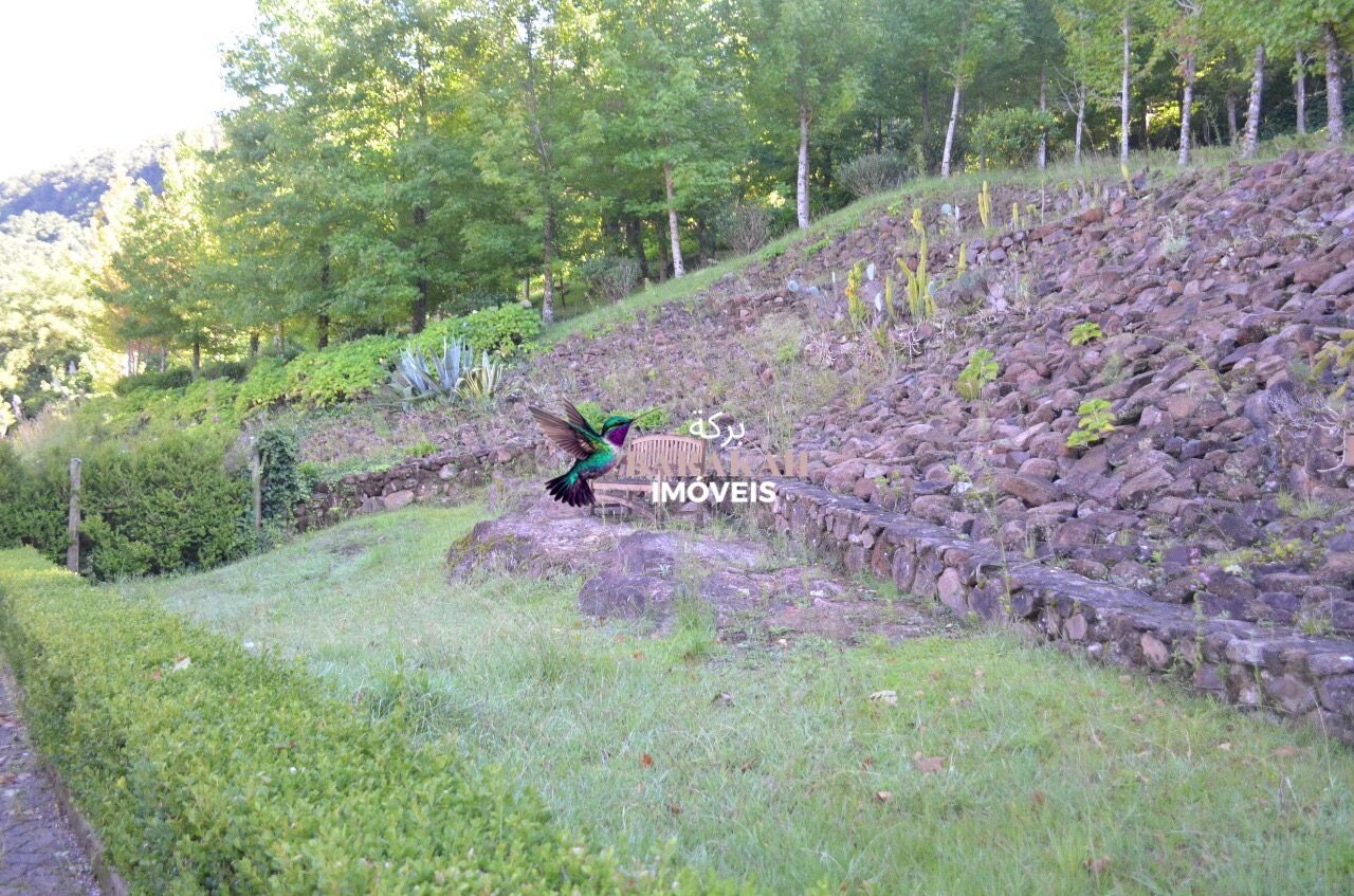 Terreno, 9 hectares - Foto 5