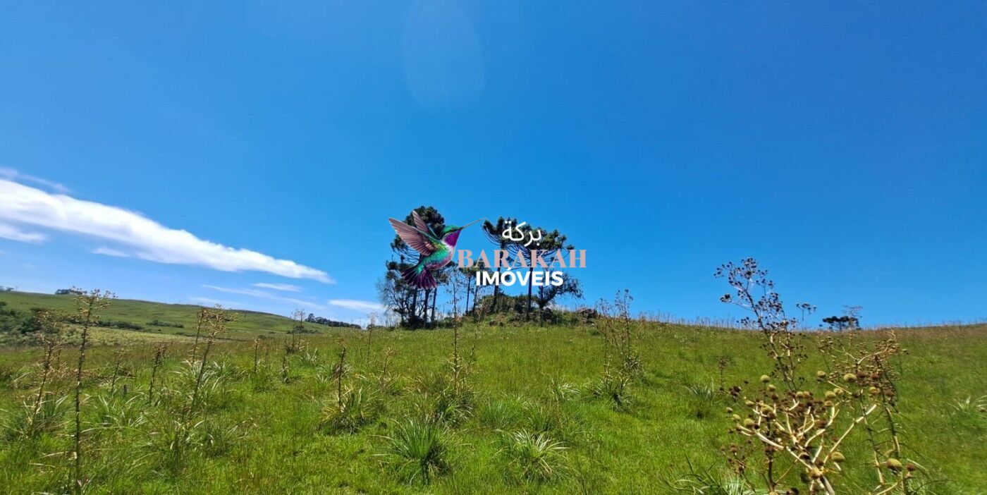 Sítio, 27 hectares - Foto 4