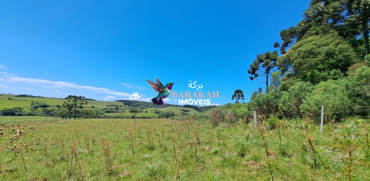 Sítio, 27 hectares - Foto 1