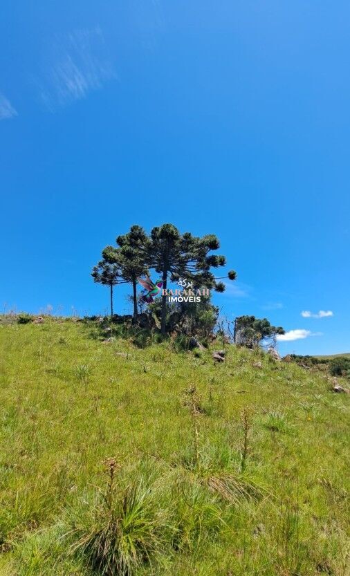 Sítio, 27 hectares - Foto 2